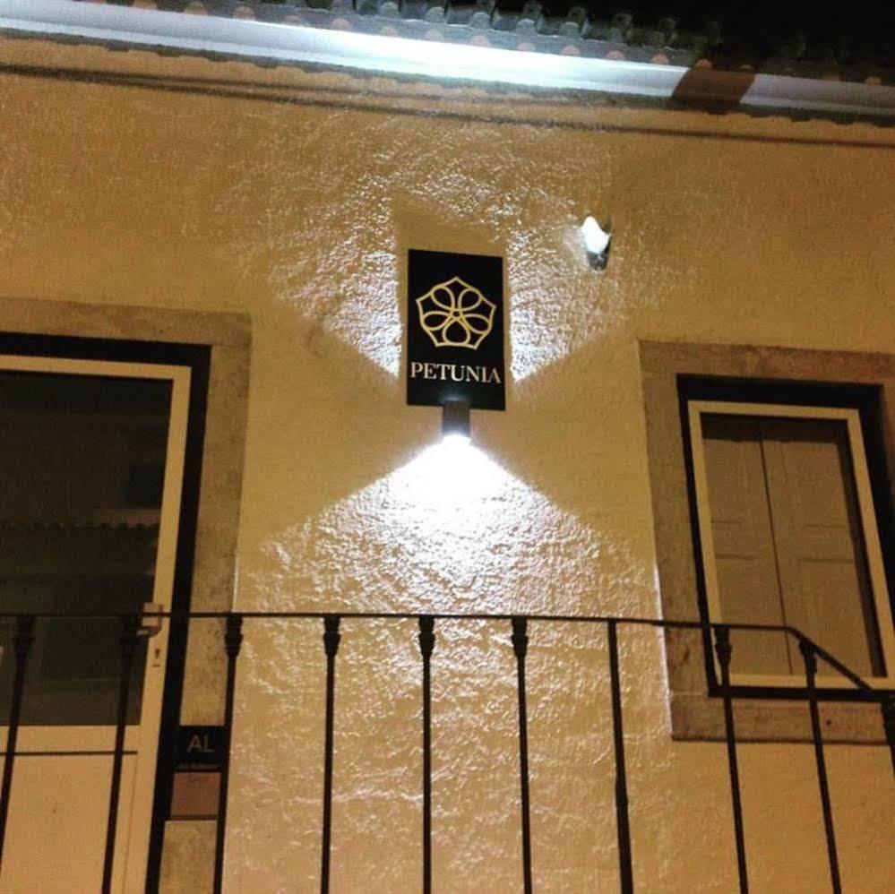 Petunia - Guest House Cascais Bagian luar foto